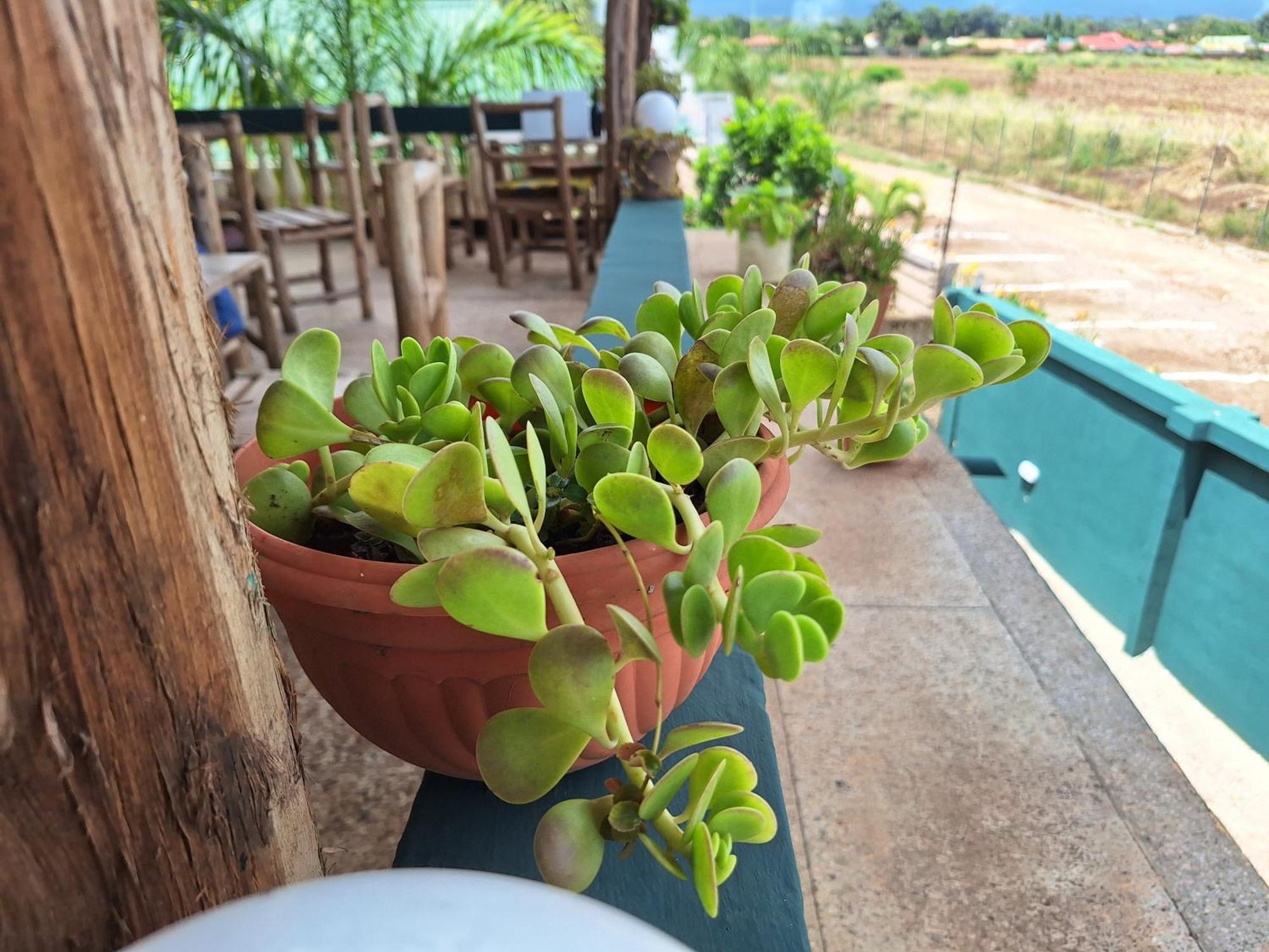 Hill View Garden Hotel Moshi Exterior foto